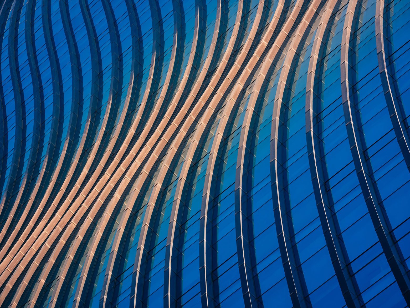 Мережа Грант Торнтон